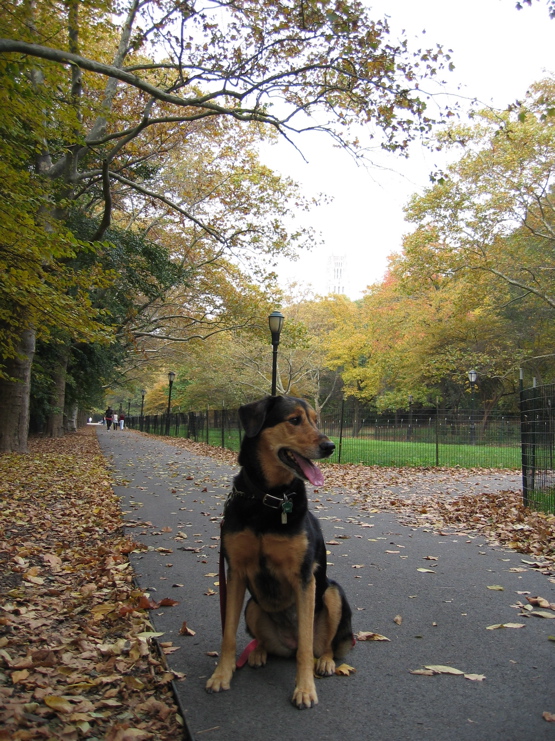 Sami-RiversidePark02