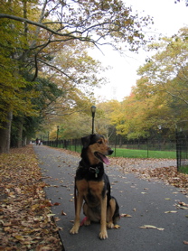 Sami-RiversidePark02